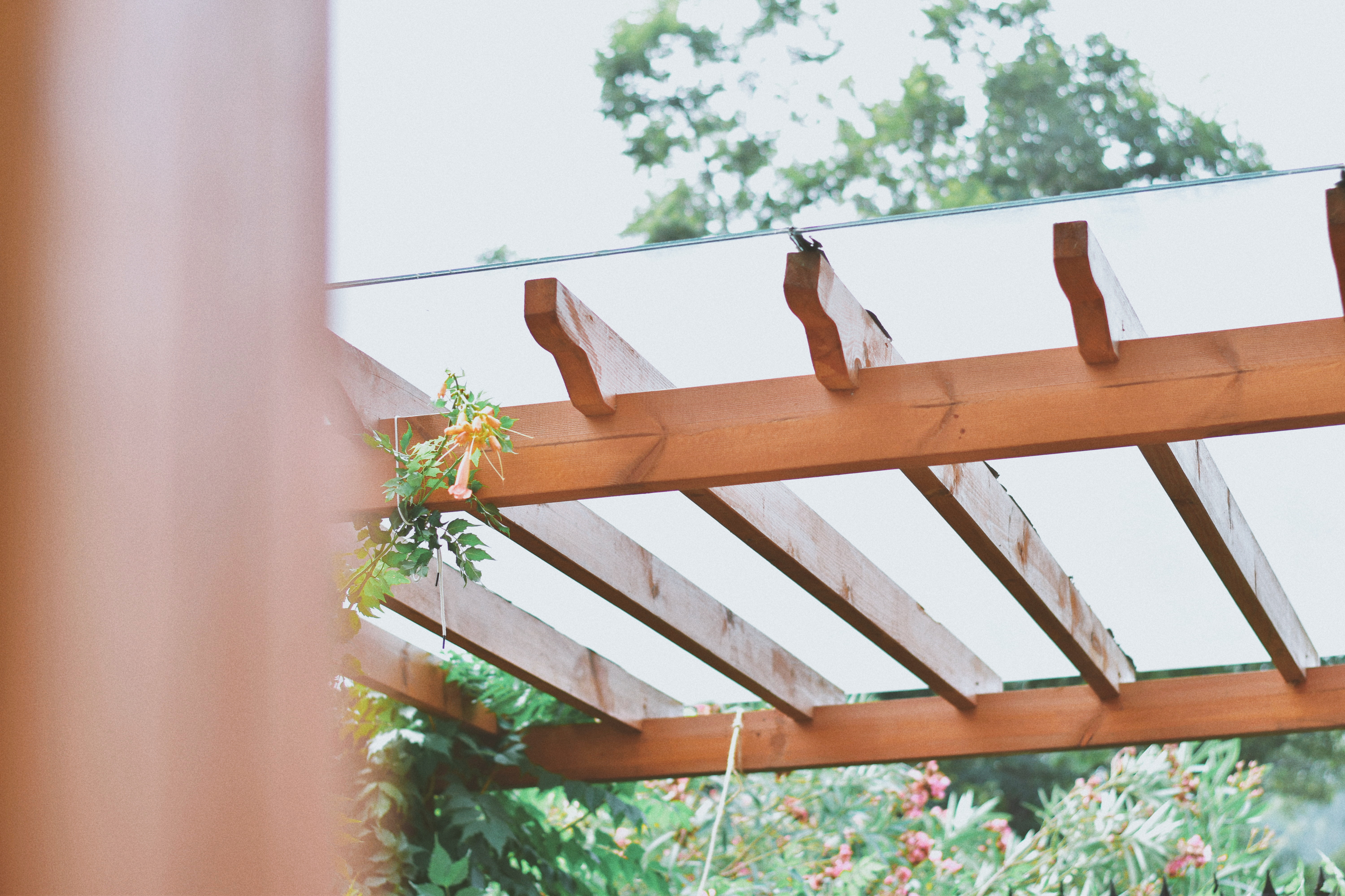 Zoom sur pergola en bois et en verre